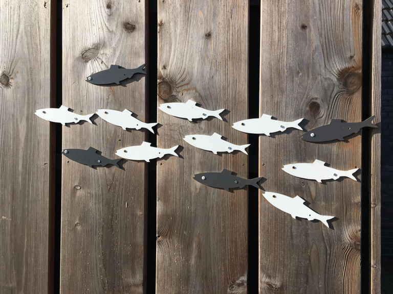 Fische